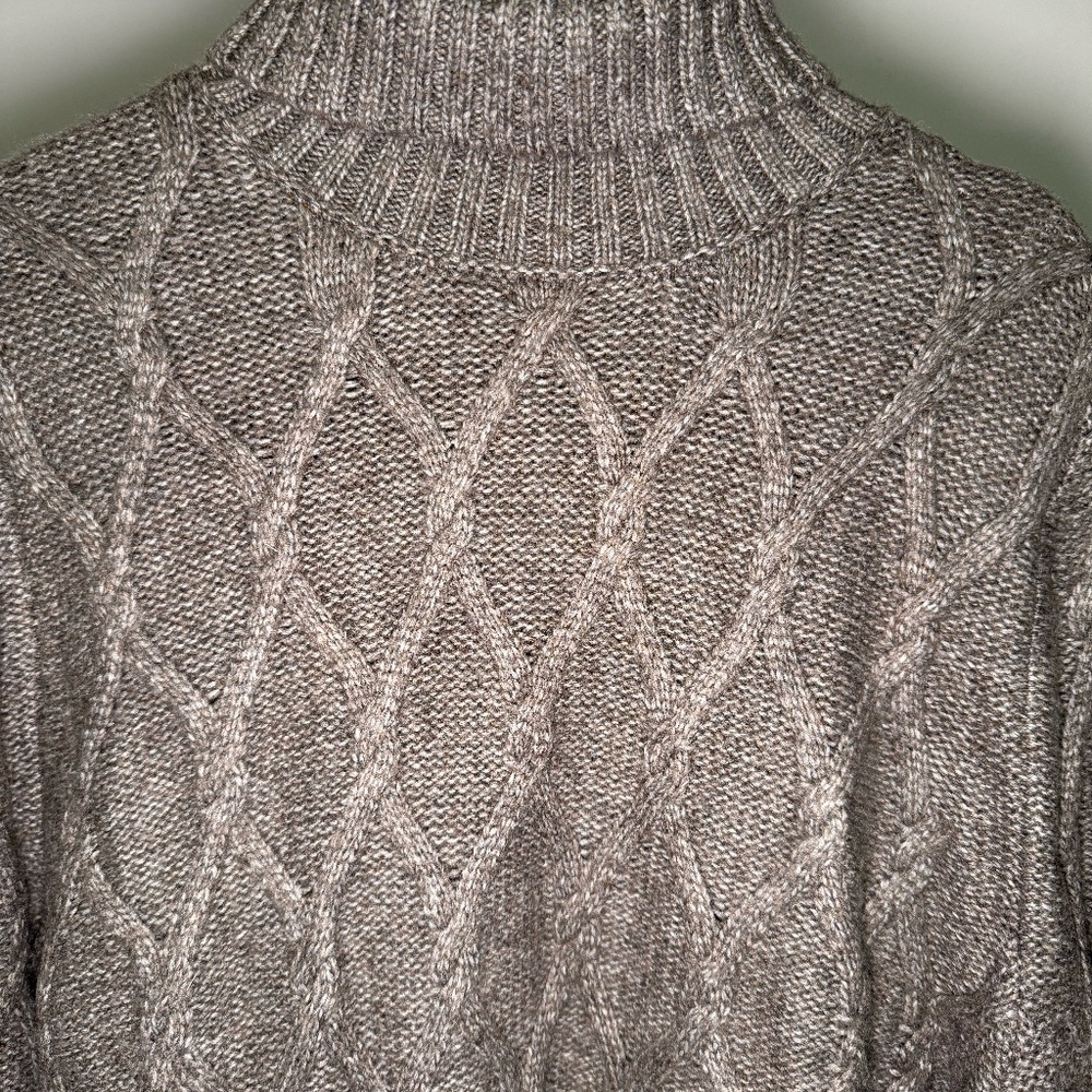 Express Turtleneck Sweater Cableknit